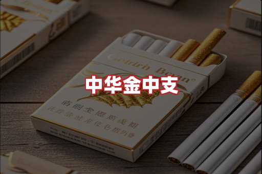 中华金中支